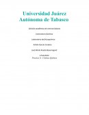 Practica 11: Cinética Química