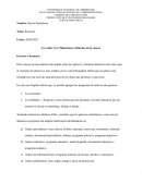 ¡La radio vive! Mutaciones culturales de lo sonoro