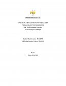 Escrito inteligencia Múltiple