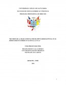 REVISION DE LA EDAD COMO FACTOR DE IMPUTABILIDAD PENAL EN EL ORDENAMIENTO JURIDICO NACIONAL ACTUAL