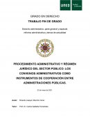TFG PROCEDIMIENTO ADMINISTRATIVO Y RÉGIMEN JURÍDICO DEL SECTOR PÚBLICO: LOS CONVENIOS ADMINISTRATIVOS