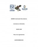 Los problemas morales y eticos en las organizaciones