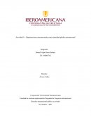 Actividad 4 – Organizaciones internacionales como autoridad pública internacional