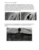 Códigos de serie visual ; Iconicidad