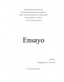 Ensayo sobre la historia del computador