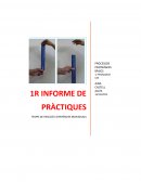 PROCESSOS PSICOLÒGICS BÀSICS