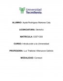 Diario de emociones positivas