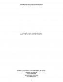 MATRIZ DE ANÁLISIS ESTRATÉGICO