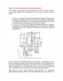 DIMENSIONES DEL CUERPO HUMANO