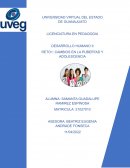 Trabajo de desarrollo humano. La pubertad