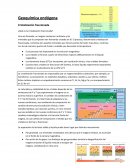 Geoquímica Endógena