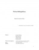 Modelo argumentativo de Stephen Toulmin como criterio de evaluación de un ensayo