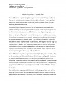 Modificaciones corporales