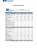 ANÁLISIS DEL ESTADO DE SITUACIÓN FINANCIERA