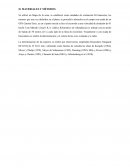 Presupuesto viaje a Cuzco