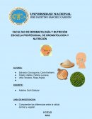 INFORME 02 BOTANICA