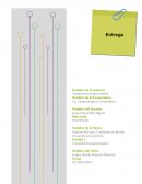 Analisis del caso: Colchones el dorado