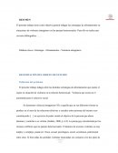 ¿Qué es la violencia intragénero?