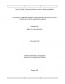 Guía de Trabajo 2. Desarrollo del marco teórico y diseño metodológico