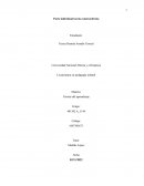 Parte individual teoría constructivista