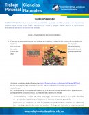 COMPONENTES DE UN ECOSISTEMA