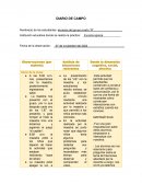 DIARIO DE CAMPO (FORMATO)