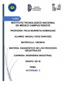 DIAGNÓSTICO DE LOS PROCESOS INDUSTRIALES