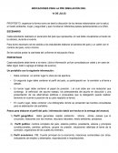 INDICACIONES PARA LA PRESIMULACIÓN ONU