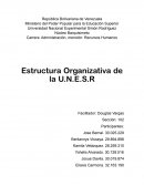 Estructura de la U.N.E.S.R