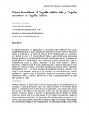 Cómo identificar el Tequila adulterado y Tequila autentico en Tequila, Jalisco