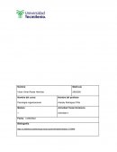 La gestión del talento humano