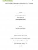 ANALISIS ENFOQUE COMPETITIVIDAD SMITH SHOES