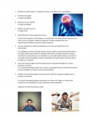 Cómo afecta el estrés a la homeostasis