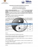 SISTEMA DE COSTOS PREDETERMINADOS