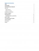 Las tecnologías de la Información y Comunicación en las empresas de la provincia del Azuay y su influencia en el cambio estructural de la organización