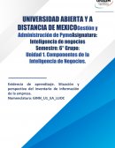 Inteligencia de negocios CASO: Freshfrut, S.A. de C.V.