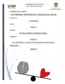 Desarrollo de la inteligencia