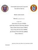 Salud mental evidencia