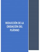 REDUCCIÓN DE LA OXIDACIÓN DEL PLÁTANO