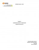 LABORATORIO GLICÓLISIS Y FERMENTACIÓN