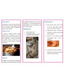 RIPTICO MANJAR DE CHANCACA