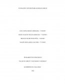 TALLER EN GRUPO “COLCHONES Y MUEBLES”