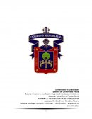 Identificación y análisis de los procedimientos