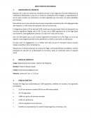 BREIF CREATIVO MULTIMEDIA