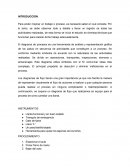 REPORTE CAMBIO DE LLANTA