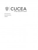 Ruta de las especies