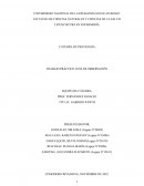 Trabajo práctico Guía de observación La adolescente