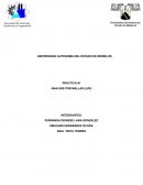 PRACTICA #1 ANALISIS POR MALLAS (LVK)