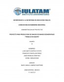 PROYECTO PARA PRODUCCION DE SNACKS DE MANGO DESHIDRATADO