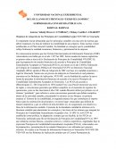 Régimen de Adopción de los Principios de Contabilidad según VEN NIF en Venezuela